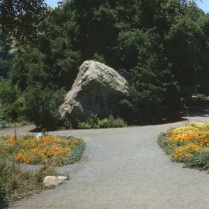 A gravel road borderd on both sides by small meadows of orange and yellow flowers. The road splits around a large boulder that sits amid thich bushes and trees. A man and woman stand on the left branch of the road.