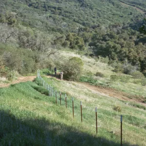 A dirt road descends down a grassy slope dotted with bushes and trees alongside an orange-posted wire fence. Two men, one in white and one in navy blue, stand in the distance alongside the road. 