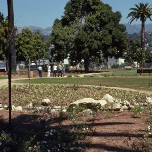 Short, grassy plants, some bearing clusters of white flowers, grow in beds of soil separated by paths and lines of stones. In the distance, a group of five people examine one of the beds.