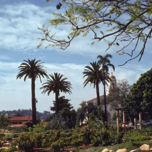 A path runs between tiered plant beds retained by stone walls. Orange-flowered bushes and tall palm trees grow in the beds, in front of a white building with a steeple. 