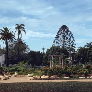 A variety of plants grow in beds lines with large stones and divided by footpaths. A large, white building with a golden-domed steeple is visible at the edge of the garden.