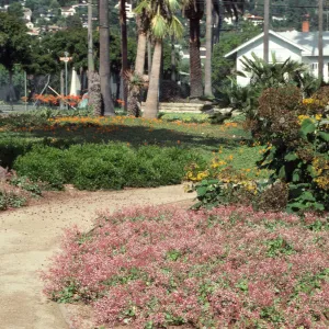 A path curves between two fields of grass, pink and orange flowers, yellow-flowered bushes, and huge palm trees. The white house is visible at the end of the path. 