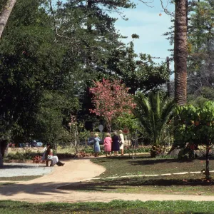 Four women in colorful suits stand at the end of a park path, looking in to the distance. Another, dark-haired, woman sits on a bench at the edge of the path.