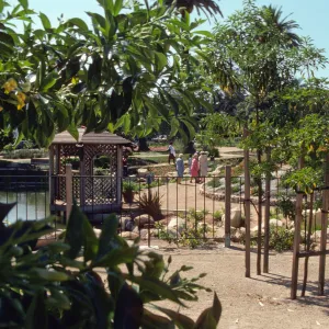 A group of several women in suits walk down a path between a bed of bushes and orange flowers and a wooden gazebo that juts out over a large pond. A few young, slender trees supported on trellises are visible in the foreground. 