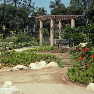 Dirt and stepping stone paths cross garden beds full of large stones, flowering bushes, small trees and assorted short plants. Two benches sit under a pergola along one of the paths. 