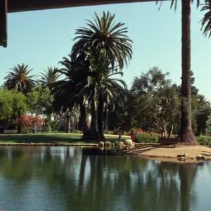 A bench sits beneath a huge palm tree on a sandy island in large pond. A grassy yard with orange flowering plants and more large palm trees is visible on the far side of the water feature. 