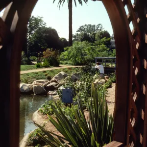 The bank of a pond viewed through a lattice window. An electrical box stands among plants on the edge of the water. A person in a white shirt stands among the plants in front of a wooden bridge. 