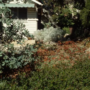 Home Demonstration Garden, Cottage