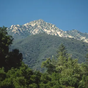 Santa Ynez Mountains from SBBG
