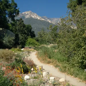 Santa Ynez Mountain view from Meadow