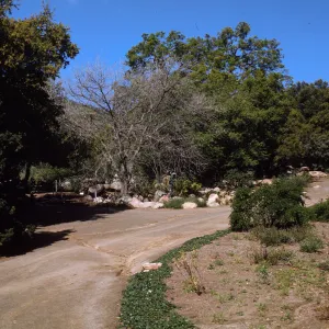 SBBG, Mission Canyon Road, Parking Lot Exit