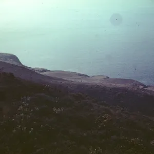 Scrub Savanna, Grassland Terrace, Anacapa Island
