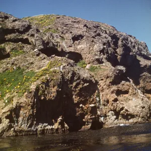 Sea Caves on North side of West Anacapa Island