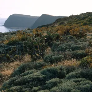 East Anacapa Island