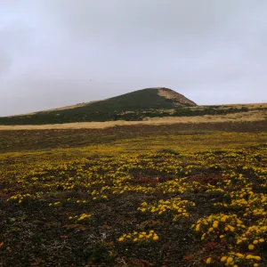 Santa Barbara Island