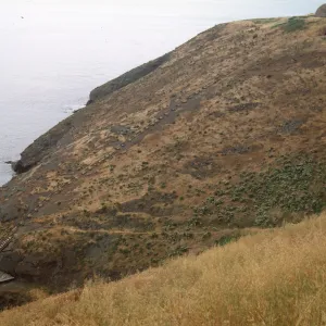 Santa Barbara Island, Landing Cove