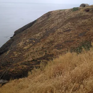 Santa Barbara Island, Landing Cove