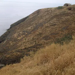 Santa Barbara Island, Landing Cove