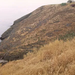 Santa Barbara Island, Landing Cove