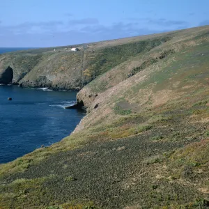 Landing Cove from Arch Point, Santa Barbara Island