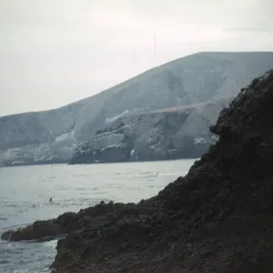 North side of Santa Barbara Island, looking east