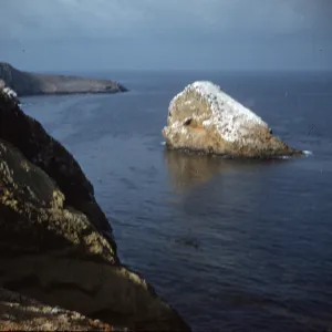 Shag Rock, north side of Santa Barbara Island