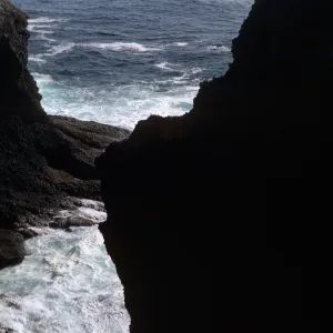 Santa Barbara Island, Webster Rock
