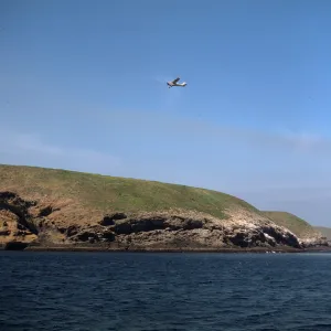 Santa Barbara Island
