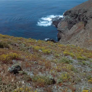 Santa Barbara Island