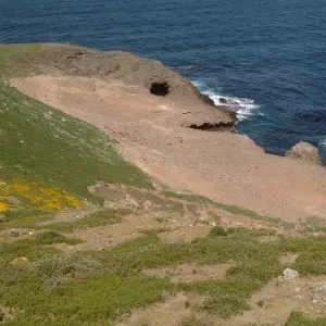 Santa Barbara Island