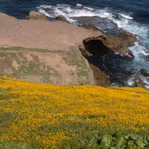 Santa Barbara Island