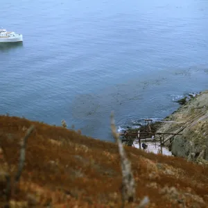 Boat 'Golden Dubloon' approaching Landing Cove on Santa Barbara Island