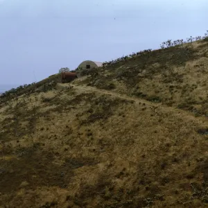 Santa Barbara Island