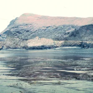Signal Peak, Santa Barbara Island, May 1967