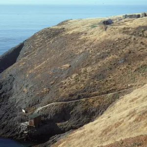 Landing Cove, Santa Barbara Island