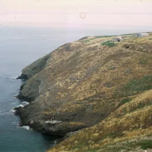 Landing Cove, Santa Barbara Island