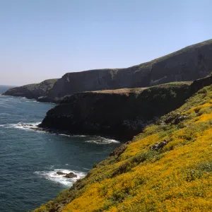 Santa Barbara Island and Shag Rock