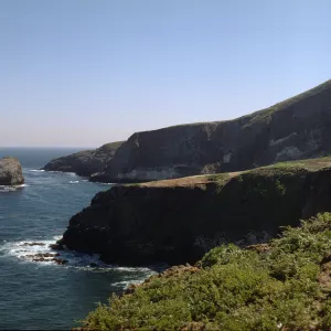 Santa Barbara Island and Shag Rock