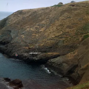 Landing Cove, Santa Barbara Island