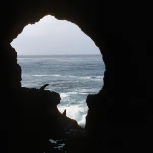 Santa Barbara Island