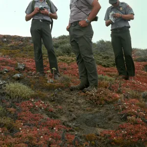 National Park Service staff, Pete Margh, Mack Shaver, Ron Sutton, Santa Barbara Island