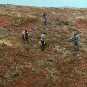 National Park staff on Santa Barbara Island