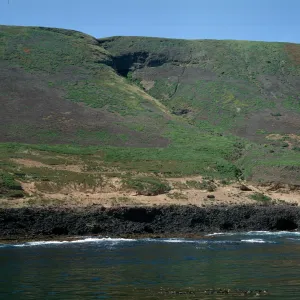 Santa Barbara Island, south of Graveyard Canyon