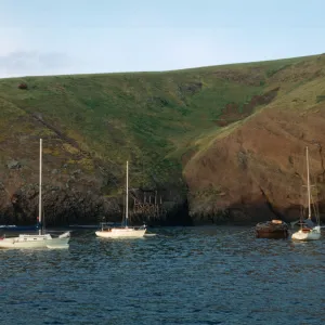 boats anchored off of Santa Barbara Island