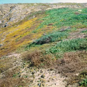 Santa Barbara Island