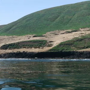 abandoned piniped hauling ground, Santa Barbara Island from boat