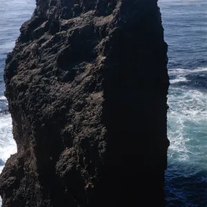 Webster Rock, Santa Barbara Island