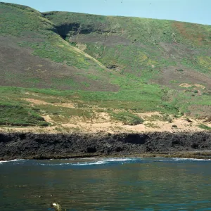 old piniped hauling ground, Santa Barbara Island