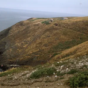 Santa Barbara Island
