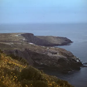 Santa Barbara Island